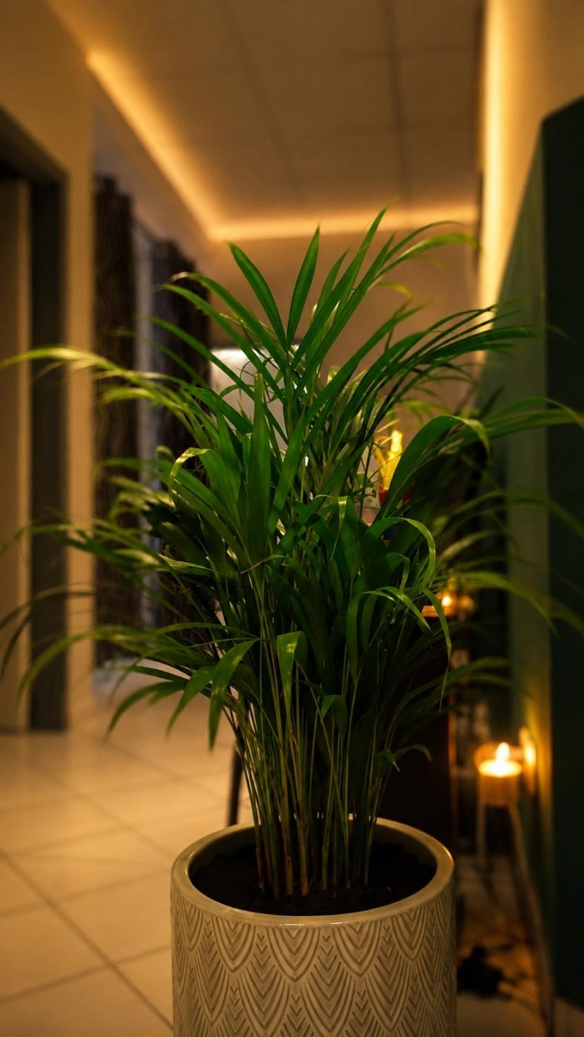 Gang zur Golden Spoon Thai Massage in der Marienpassage Holzkirchen